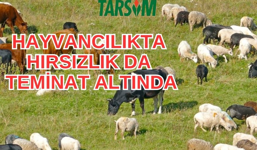 TARSİM’in 2025 prim destek oranları Resmi Gazete’de yayımlandı