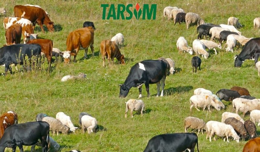 TARSİM’in 2025 prim destek oranları Resmi Gazete’de yayımlandı